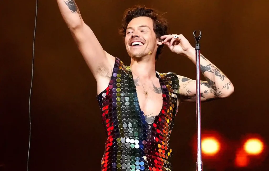 Harry Styles at Concert